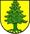 Wappen der Stadt Tann (Rhön)