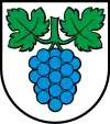 Wappen von Thalheim