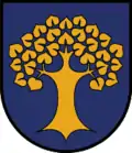 Wappen von Amlach