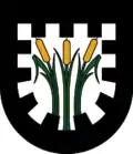 Wappen von Pinswang