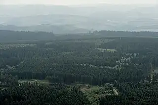 Blick auf den Plackwald mit dem Lörmecke-Turm (mittig rechts)