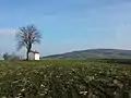 Blick auf den Waschberg von Südwesten.