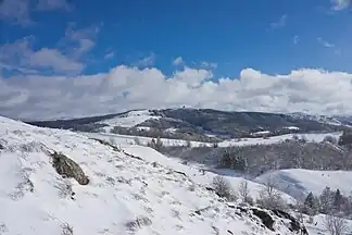 Blick auf die Wasserkuppe vom Weiherberg