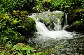 Wasserfall im Mtirala-Nationalpark