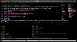 Bildschirmfoto von WeeChat (mit installierten Skripten und Erweiterungen)