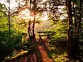 Abendstimmung am Weg zum Weißen Hirsch