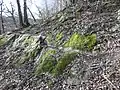 In den Fels gehauener Pfad zum Burgeingang. Entstanden möglicherweise zur Bauzeit der Burg.