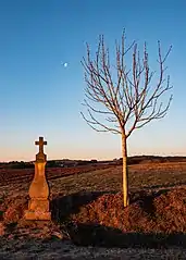 Wegekreuz am Ortsausgang von Lissendorf in Richtung Steffeln