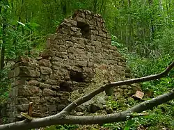 Mauerrest der Hofruine Weilach