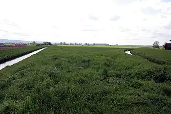 Blick auf die Weschnitzinsel von der nördlichen Spitze des Naturschutzgebietes aus (vor der Renaturierung 2017). Links die Neue Weschnitz und rechts die Alte Weschnitz.