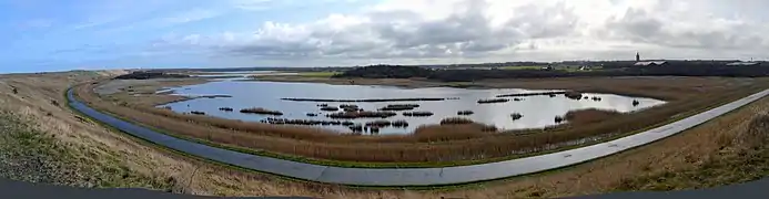 Westkapelle – Vogelschutzgebiet nördlich Westkapelle