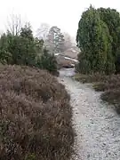 Im Naturpark Südheide Weg vom Wietzer Berg