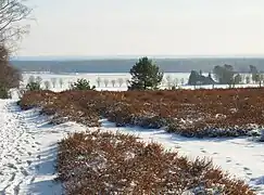 Blick vom Wietzer Berg Richtung Haußelberg