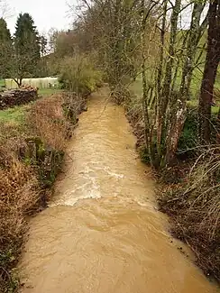 Der Fluss Foivre in Wignicourt