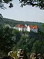 Burg Wildenstein von den Bandfelsen des Donautales gesehen