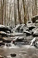 Winter im Leukbachtal