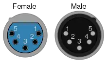 XLR5 Pinout (aus dem englischem Wikipedia)