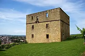 Blick auf die Yburg von Südosten