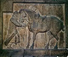 Relief eines Kriegspferds am Zhaoling-Mausoleum(frühes 7. Jahrhundert)