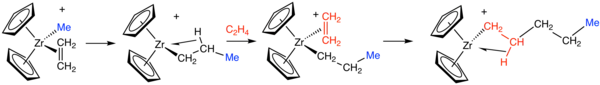 Vereinfachter Mechanismus der Ethylenpolymerisation