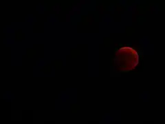 Beobachtet in Skołyszyn in Polen um 20:14 UTC