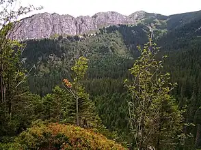 Blick vom Wanderweg auf den Kasprowy Wierch