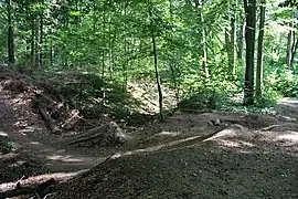 Dirtjumps nahe der Zeisigwaldschänke