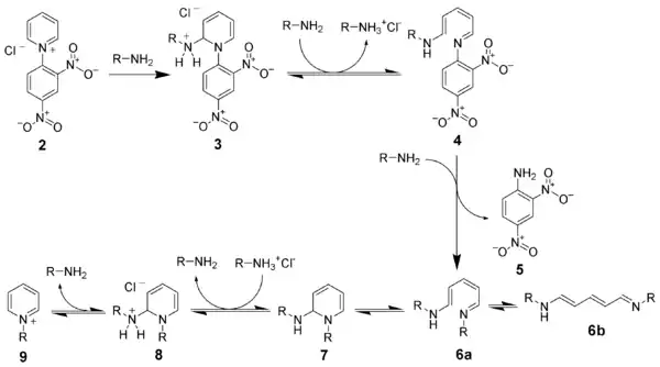 Mechanismus der Zincke-Reaktion