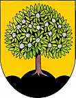 Wappen von Nasavrky