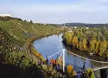 Zuckerle-Weinberge am Neckar – rechts der Max-Eyth-See