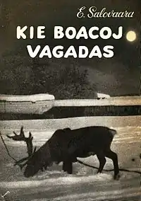 Kie Boacoj Vagadas