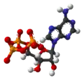 Adenozina trifosfato56-65-5