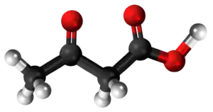 acetoacetata acido