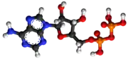 Adenozina difosfato58-64-0