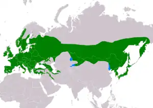 Natura arealo

﻿ Ĉiujare prezencoj
﻿ Vintrejoj