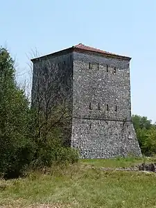 Turdomo venecia en Butrinto (Albanio).