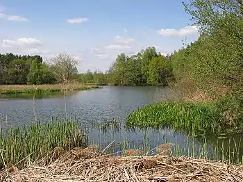 flanka riverobrako apud Lübben