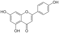 apigenino