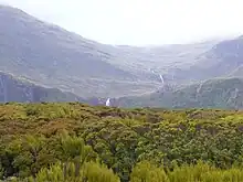 La insula interno de Auckland Island