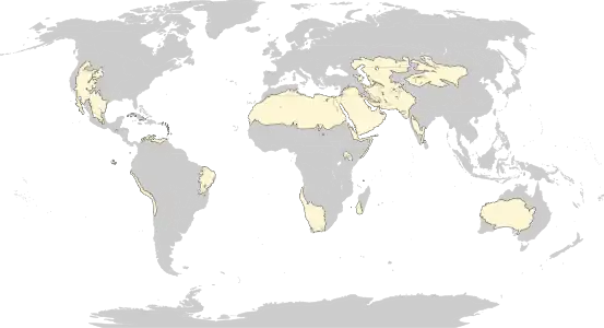 Situo de la dezertoj kaj kserofitaroj en la mondo.