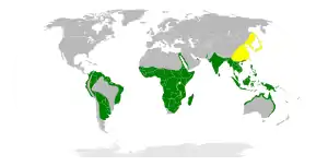 Verde tutmonda disvastiĝo; flave reproduktejoj