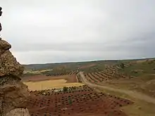 Vido de la Kamparo de Montiel ciudareala (kastelo de Alhambra).