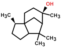 Cedrolo