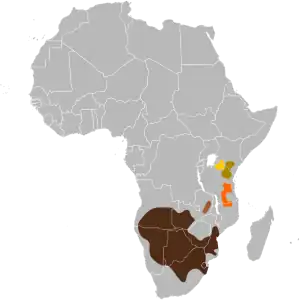 Naturaj arealoj
flave: C.t. mearnsi,  
brune: C.t. albojubatus, 
oranghe: C.t. johnstoni, 
malhelbrune: C.t. cooksoni, 
nigre: C.t. taurinus.