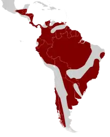 Cotingas (Cotingidae) area.svg