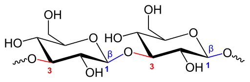 Ekzemplo de β-glukano, de paramilono; hervorgehoben sind die Beta-glukano bindungen