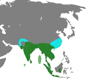 Verde ĝia arealo tutjare kaj blue ĝia arealo somere