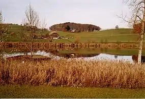 Lago Dittligsee en Forst-Längenbühl