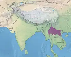 Nord-hindoĉinaj subtropikaj arbaroj (Tero)