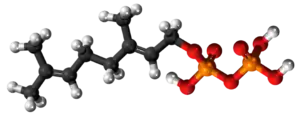 Geranila pirofosfato